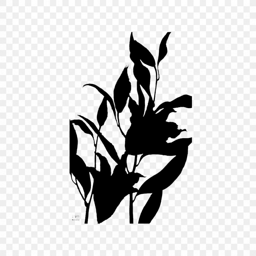 Black & White, PNG, 2362x2362px, Black White M, Blackandwhite, Botany, Branch, Character Download Free