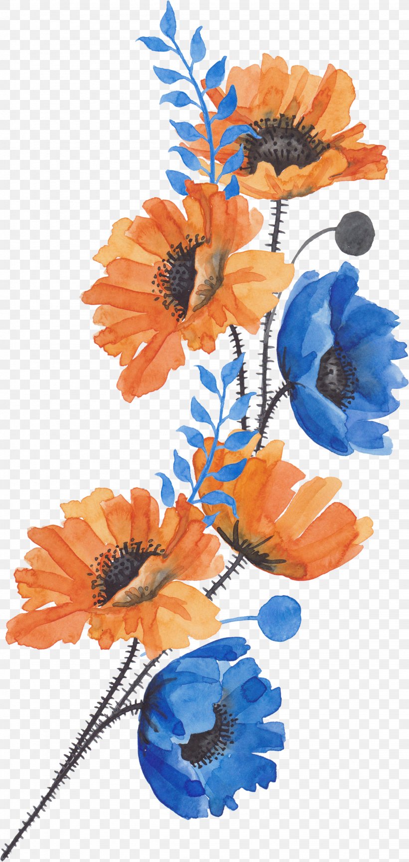 Common Poppy Flower, PNG, 1638x3449px, Common Poppy, Art, Bud, Cut ...