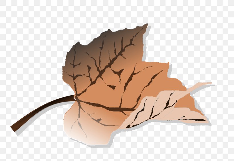 Clip Art, PNG, 800x566px, Autumn, Color, Drawing, Image Tracing, Leaf Download Free