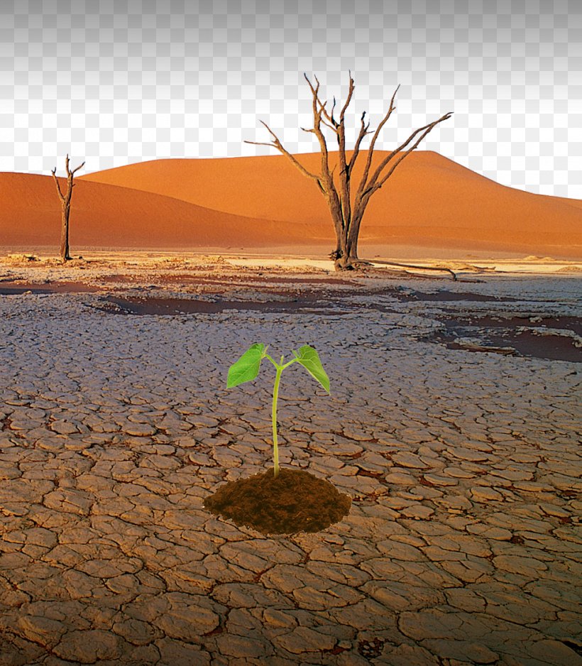 Drought Natural Disaster Water Desertification, PNG, 975x1116px, Drought, Aeolian Landform, Crisi De Laigua, Desert, Desertification Download Free