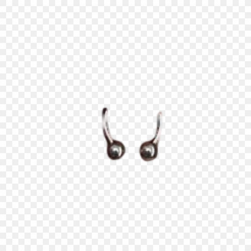 Earring Jewellery Silver Clothing Accessories, PNG, 2048x2048px, Earring, Body Jewellery, Body Jewelry, Clothing Accessories, Earrings Download Free