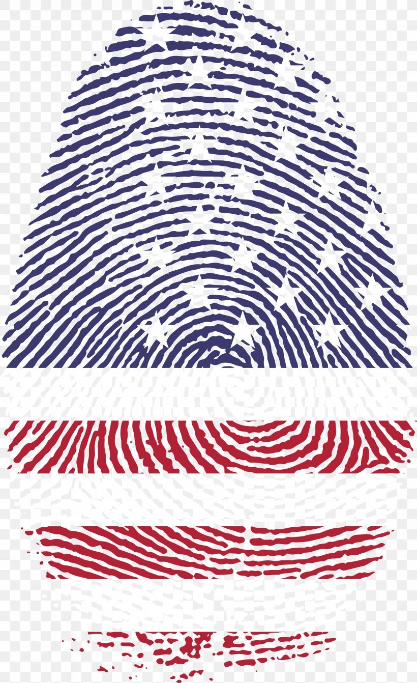 Fingerprint Detective Live Scan, PNG, 4000x6548px, Fingerprint, Area, Biometrics, Computer, Finger Download Free