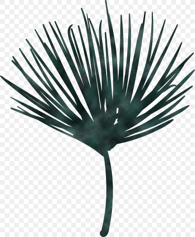 Palm Trees, PNG, 2460x3000px, Tree, Flower, Green, Leaf, Logo Download Free