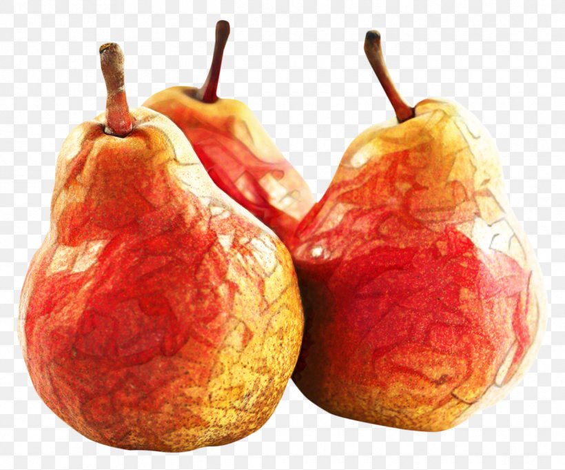 Apple Tree, PNG, 1245x1035px, Pear, Accessory Fruit, Apple, Fahrenheit, Food Download Free