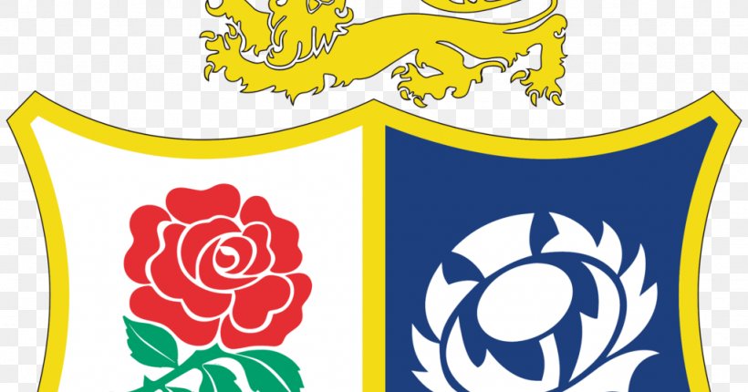 England National Rugby Union Team British And Irish Lions South Africa National Rugby Union Team New