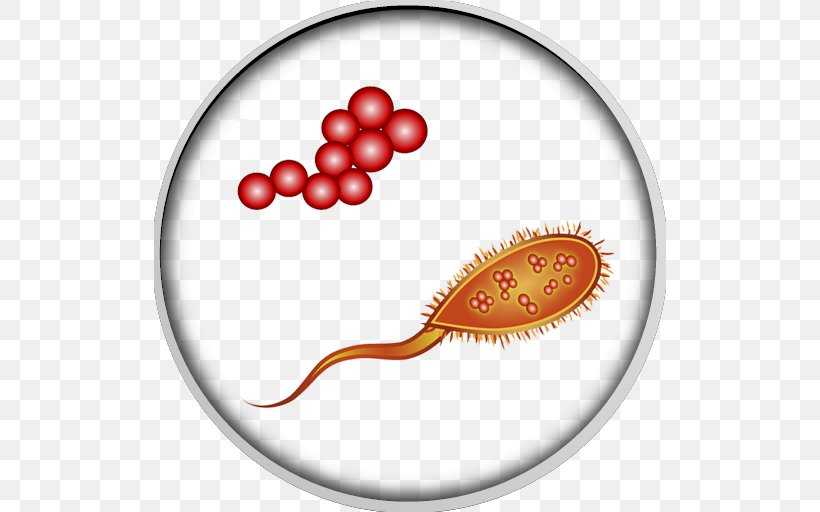 Human Microbiota Gut Flora Flatulence Intestine, PNG, 512x512px, Microbiota, Bacteria, Body, Cell, Digestion Download Free