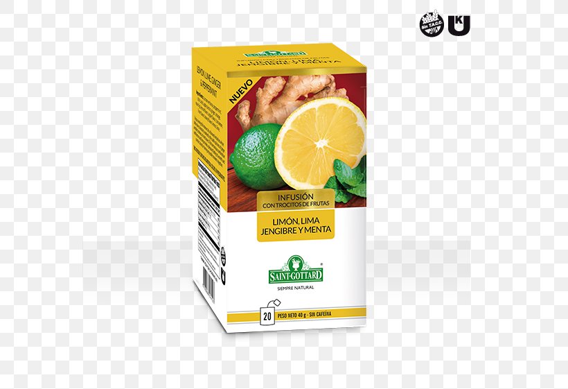 Lemon Ginger Tea Dietary Supplement Lime, PNG, 581x561px, Lemon, Citric Acid, Citrus, Dietary Supplement, Food Download Free