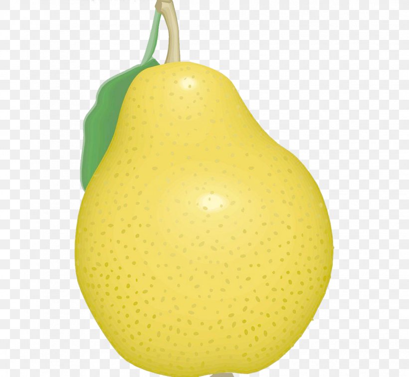 Pear, PNG, 1239x1143px, Pear, Food, Fruit Download Free