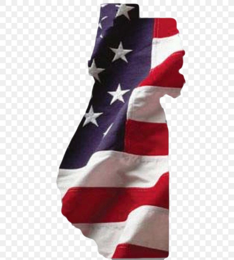 Statue Of Liberty Perry Flag Of The United States New Jersey, PNG, 565x909px, Statue Of Liberty, Citizenship, Flag, Flag Of The United States, Naturalization Download Free