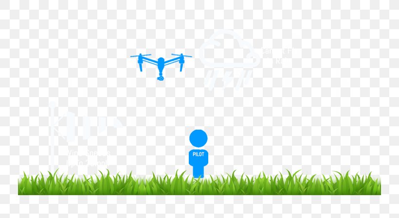 Unmanned Aerial Vehicle Aerial Photography Civil Aviation Authority HexII Grasses, PNG, 800x449px, Unmanned Aerial Vehicle, Aerial Photography, Area, Aviation, Civil Aviation Authority Download Free