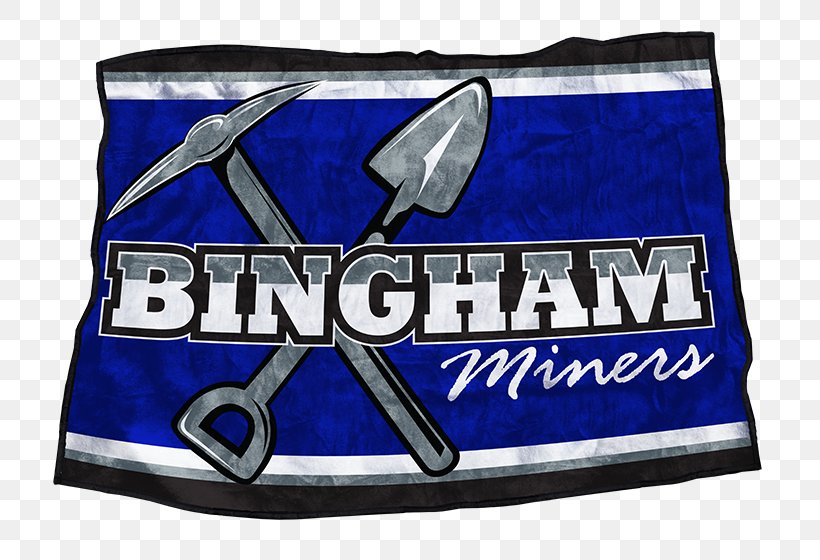 Bingham High School Textile Blanket National Secondary School, PNG, 756x560px, Bingham High School, Advertising, Banner, Blanket, Blue Download Free