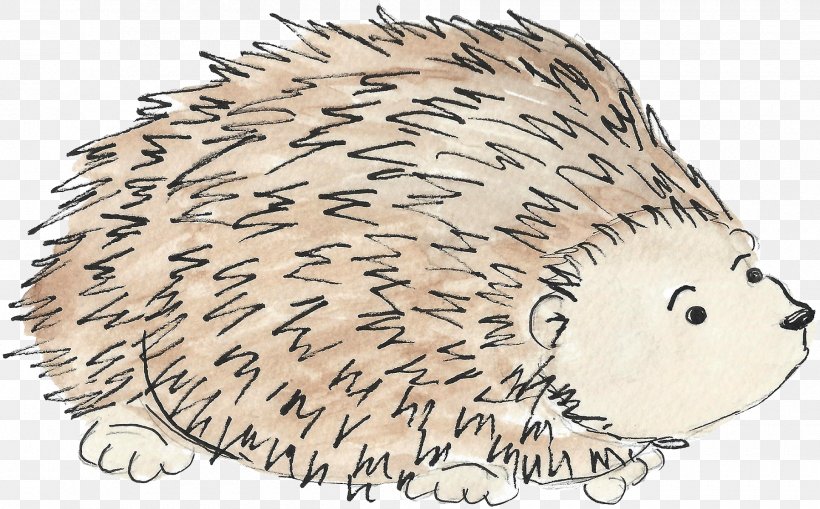 Domesticated Hedgehog Beaver Porcupine Whiskers, PNG, 1800x1119px, Domesticated Hedgehog, Animal, Animal Figure, Bear, Beaver Download Free