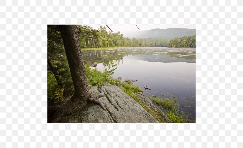 Lake District Loch Nature Reserve Water Resources Bog, PNG, 500x500px, Lake District, Bank, Bayou, Bog, Floodplain Download Free