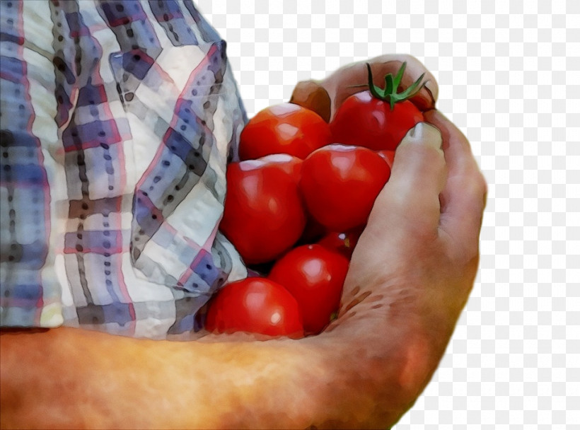 Tomato, PNG, 960x712px, Watercolor, Cherry Tomatoes, Food, Fruit, Hand Download Free