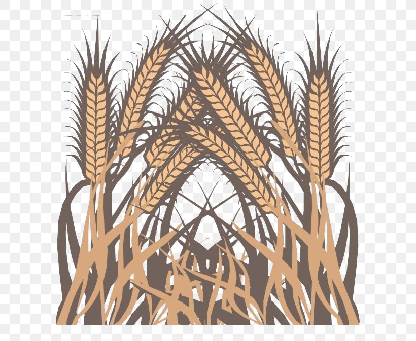 Wheat Euclidean Vector, PNG, 599x673px, Wheat, Agriculture, Barley, Commodity, Date Palm Download Free