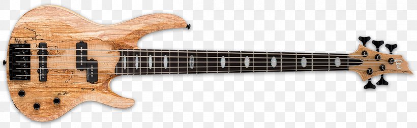 Bass Guitar Fender Precision Bass ESP LTD B205SM ESP Guitars, PNG, 1200x369px, Watercolor, Cartoon, Flower, Frame, Heart Download Free