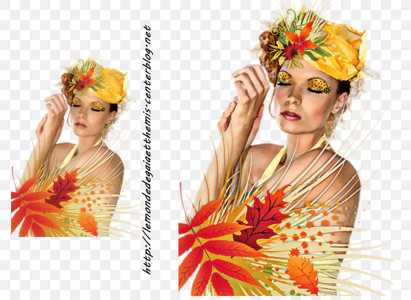 Flowers Background, PNG, 800x600px, Autumn, Artificial Flower, Costume Design, Cut Flowers, Female Download Free
