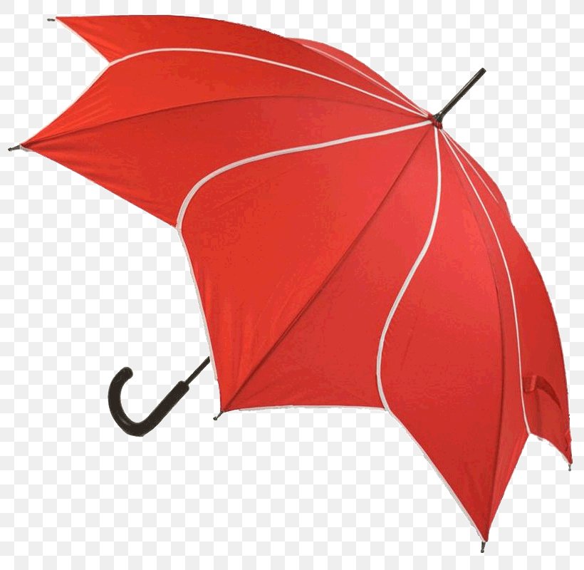 Umbrella Flower Totes Isotoner Petal Floral Design, PNG, 800x800px, Umbrella, Clothing Accessories, Fashion, Fashion Accessory, Floral Design Download Free