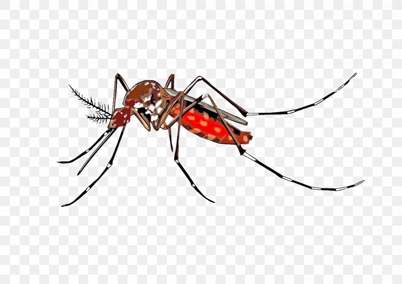 Yellow Fever Mosquito Insect Clip Art, PNG, 2400x1697px, Mosquito, Animation, Ant, Arthropod, Chikungunya Virus Infection Download Free