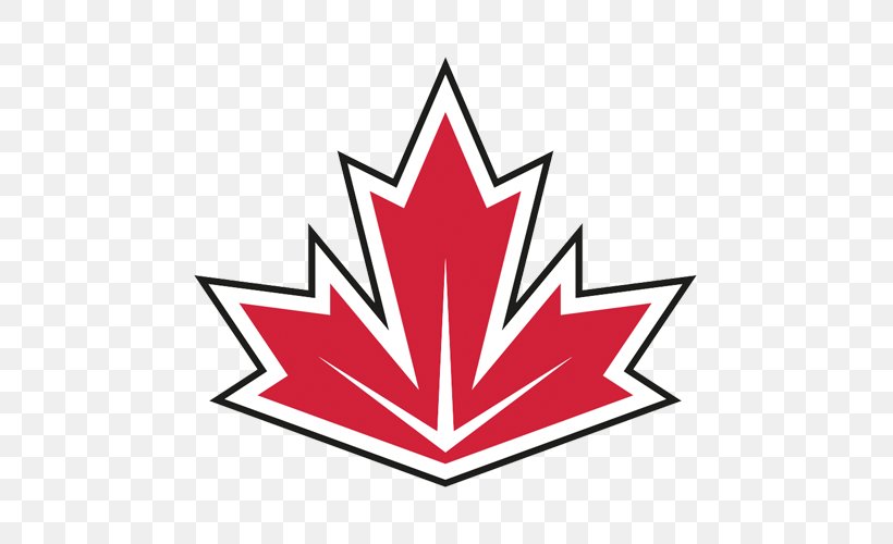 2016 World Cup Of Hockey Canada Men's National Ice Hockey Team National Hockey League Team Europe United States National Men's Hockey Team, PNG, 500x500px, National Hockey League, Area, Brad Marchand, Flower, Flowering Plant Download Free