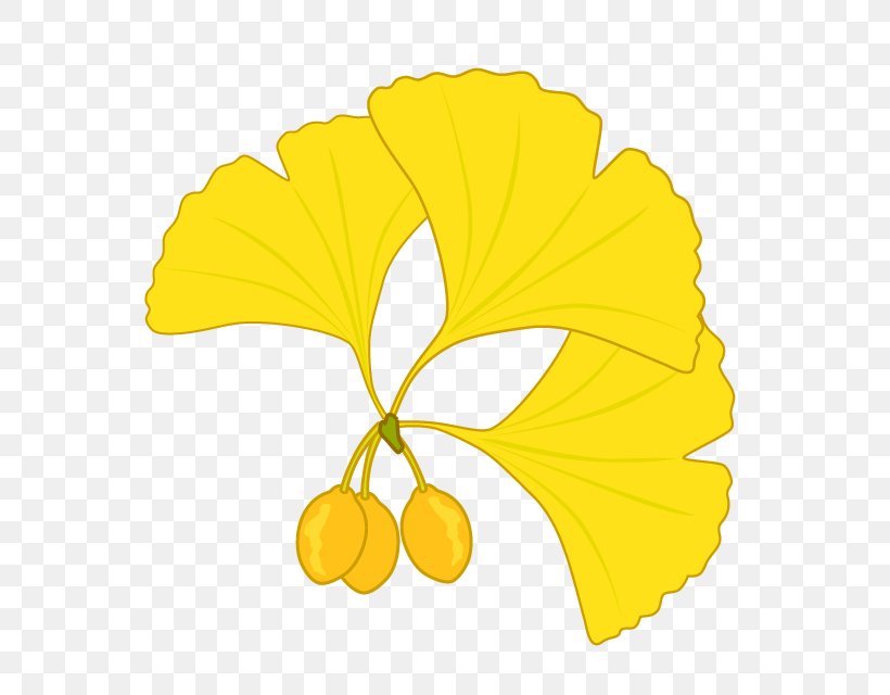Clip Art Maidenhair Tree Illustration Image Graphics, PNG, 640x640px, Maidenhair Tree, Autumn, Autumn Leaf Color, Comparazione Di File Grafici, Flower Download Free