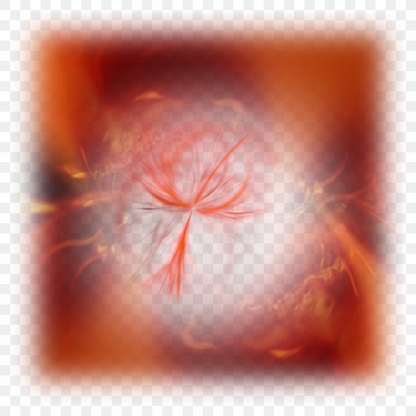 Desktop Wallpaper Close-up Computer Eye, PNG, 1000x1000px, Watercolor, Cartoon, Flower, Frame, Heart Download Free
