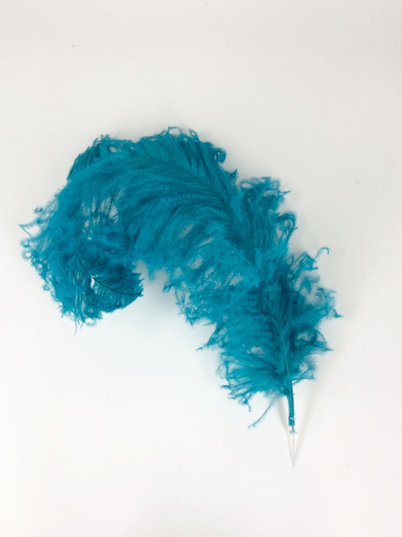 Common Ostrich Feather Boa Turquoise Teal, PNG, 1195x1600px, Common Ostrich, Azure, Blue, Cobalt, Cobalt Blue Download Free
