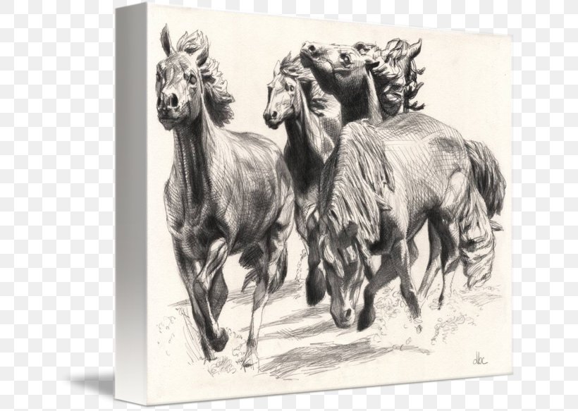 Mustangs At Las Colinas The Mustangs Of Las Colinas Canvas Print Drawing, PNG, 650x583px, Mustang, Art, Black And White, Bronc Riding, Calgary Stampede Download Free
