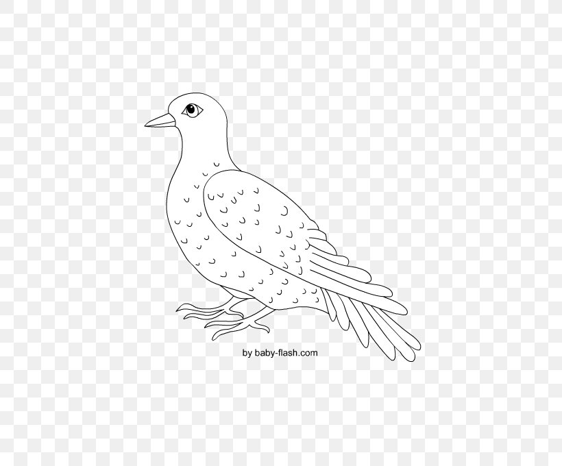 Sketch Beak Columbidae Illustration Fauna, PNG, 567x680px, Beak, Area, Art, Artwork, Bird Download Free