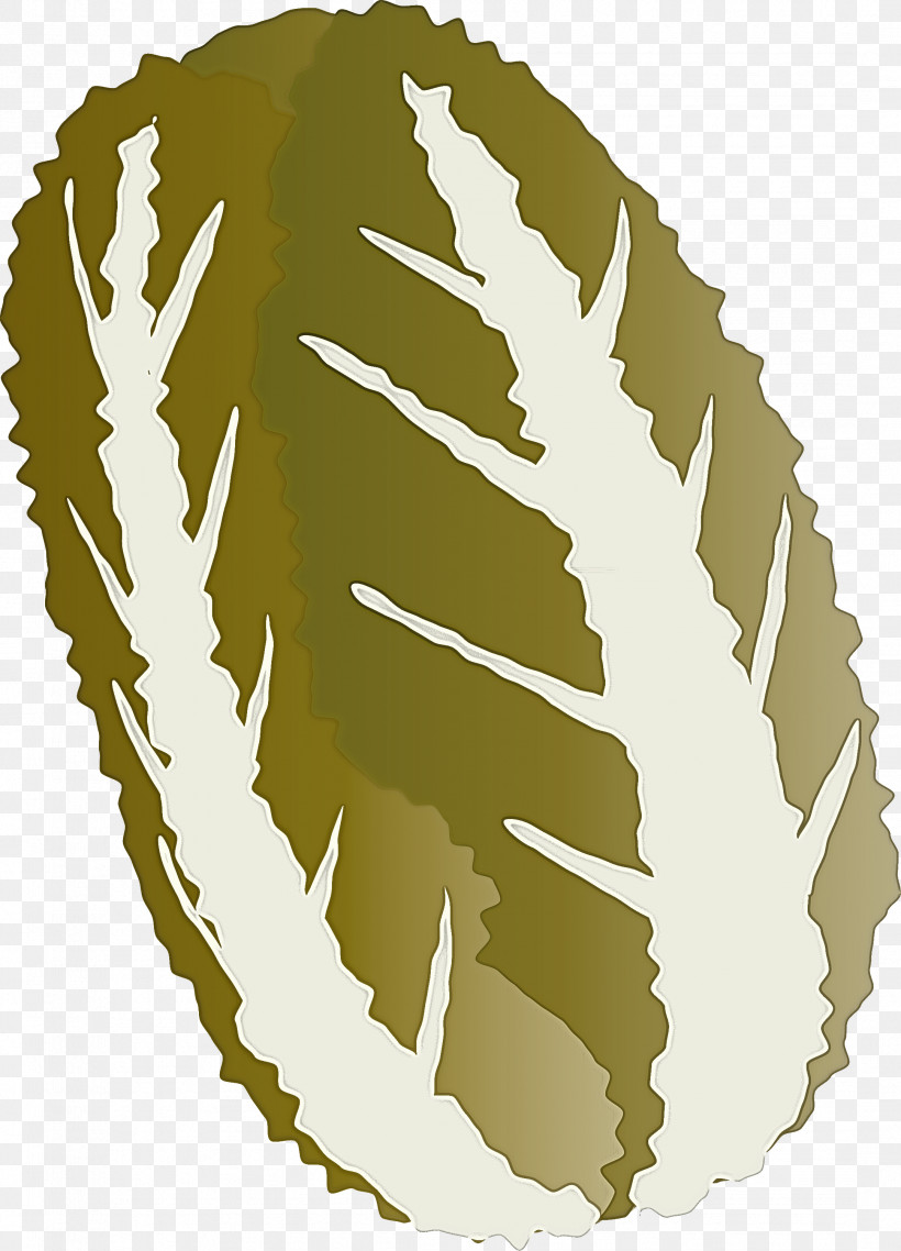 Nappa Cabbage, PNG, 2161x3000px, Nappa Cabbage, Feather, Leaf, Plant, Tree Download Free