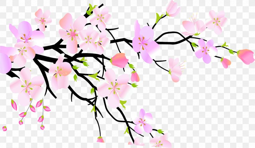 Plum Blossom Peach, PNG, 1650x960px, Plum Blossom, Blossom, Branch, Cherry Blossom, Cut Flowers Download Free