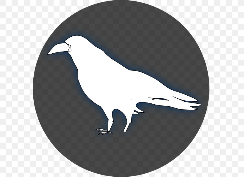 Common Raven Baltimore Ravens Drawing Clip Art, PNG, 600x594px, Common Raven, Baltimore Ravens, Beak, Bird, Bird Of Prey Download Free