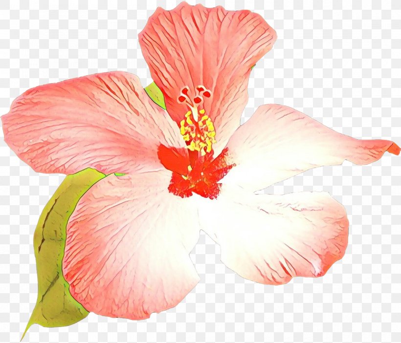 Drawing Of Family, PNG, 1200x1028px, Cartoon, Chinese Hibiscus, Common Hibiscus, Drawing, Flower Download Free
