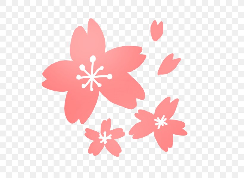 Cherry Blossom Book Illustration, PNG, 600x600px, Cherry Blossom, Book Illustration, Cherry, Color, Flora Download Free