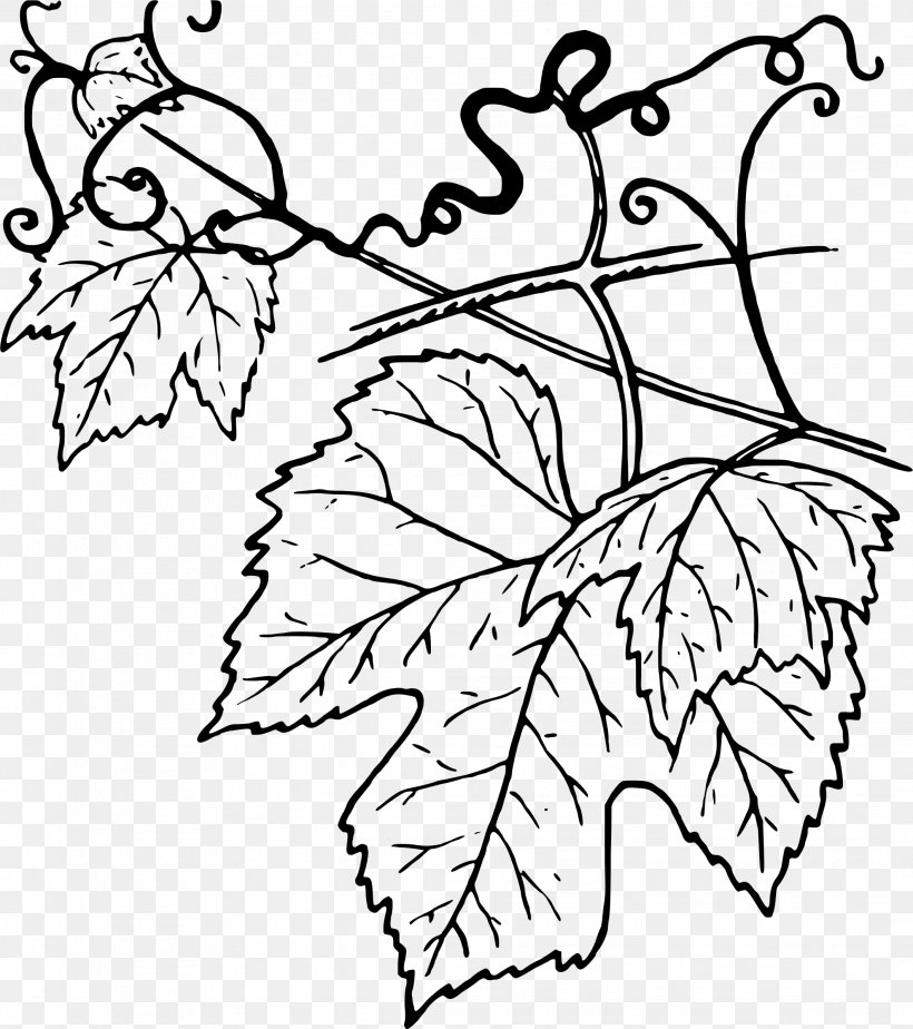 Common Grape Vine Grape Leaves Wine Clip Art, PNG, 2121x2391px, Common Grape Vine, Black And White, Branch, Drawing, Flora Download Free