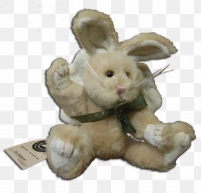 Rabbit - Domestic Rabbit Easter Bunny Hare PNG