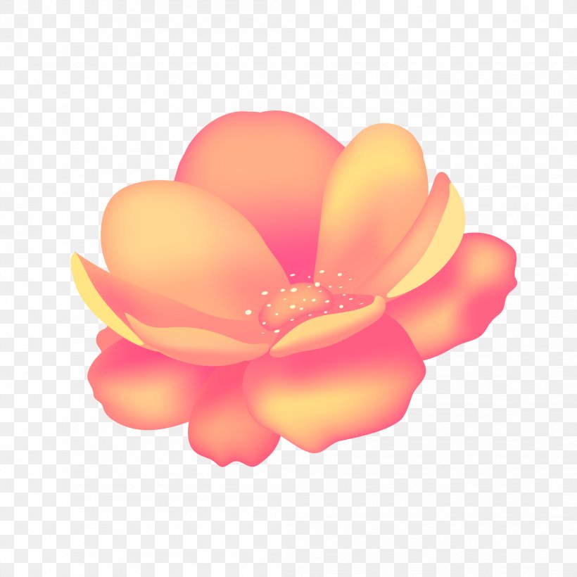 Cartoon Peach Rose Family Image, PNG, 2083x2083px, Cartoon, Designer, Flower, Flowering Plant, Magenta Download Free