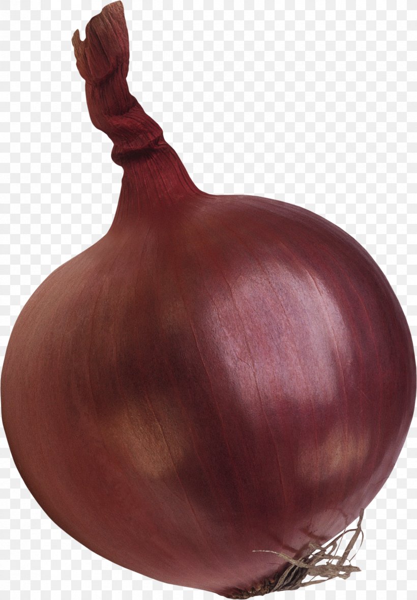 Shallot Red Onion Yellow Onion Garlic, PNG, 1225x1762px, Shallot, Designer, Food, Garlic, Ingredient Download Free