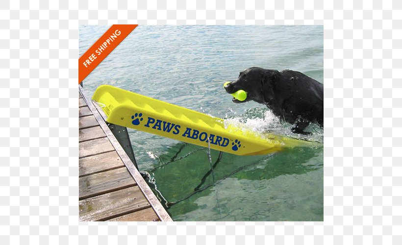 Border Collie Paws Aboard Doggy Boat Ladder And Ramp Dock Pet, PNG, 500x500px, Border Collie, Boat, Cat Dog Flaps, Dock, Dog Download Free