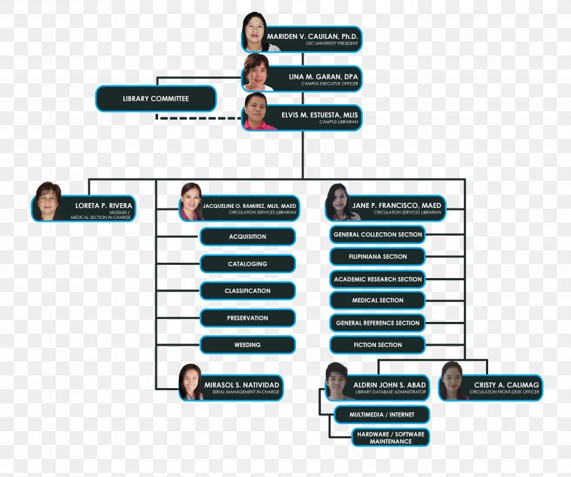 Cagayan State University Sonoma State University Organizational Chart, PNG, 3561x2983px, Cagayan State University, Academic Library, Brand, California State University, Campus Download Free
