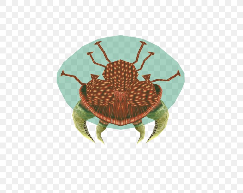 Dungeness Crab Pond Turtles Terrestrial Animal, PNG, 750x650px, Dungeness Crab, Animal, Crab, Decapoda, Dungeness Download Free