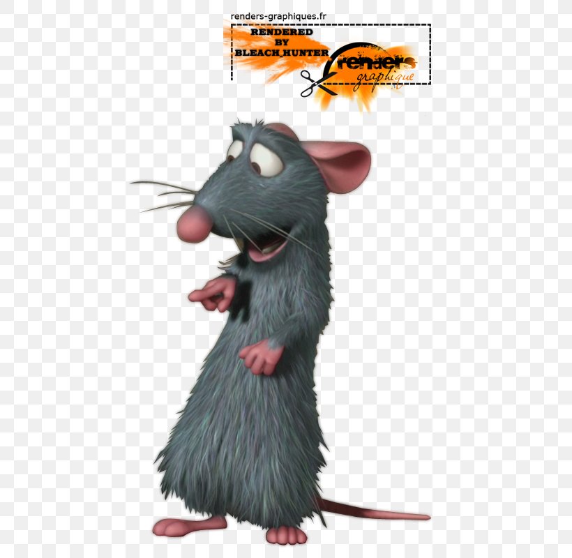 Rat Remy Rodent Murids, PNG, 600x800px, Rat, Animal, Animation, Mammal, Mouse Download Free