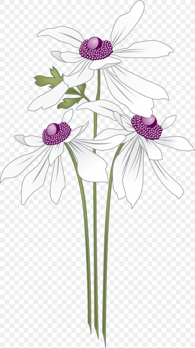 VECTOR FLOWERS, PNG, 896x1600px, Flower, Annual Plant, Cut Flowers, Daisy, Daisy Family Download Free