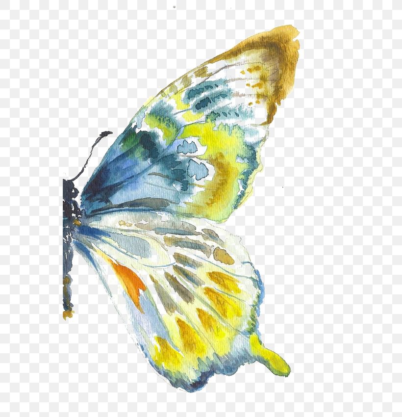 Butterfly Watercolor Painting Drawing Art, PNG, 564x850px, Watercolor, Cartoon, Flower, Frame, Heart Download Free