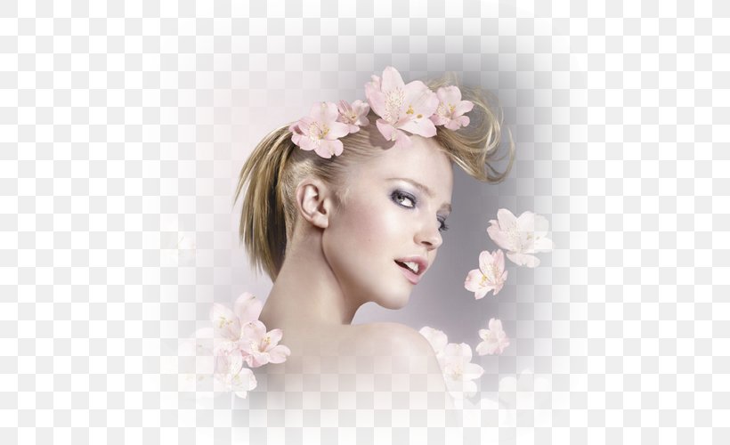 Floral Design Foundation Makijaż Hair, PNG, 500x500px, Watercolor, Cartoon, Flower, Frame, Heart Download Free