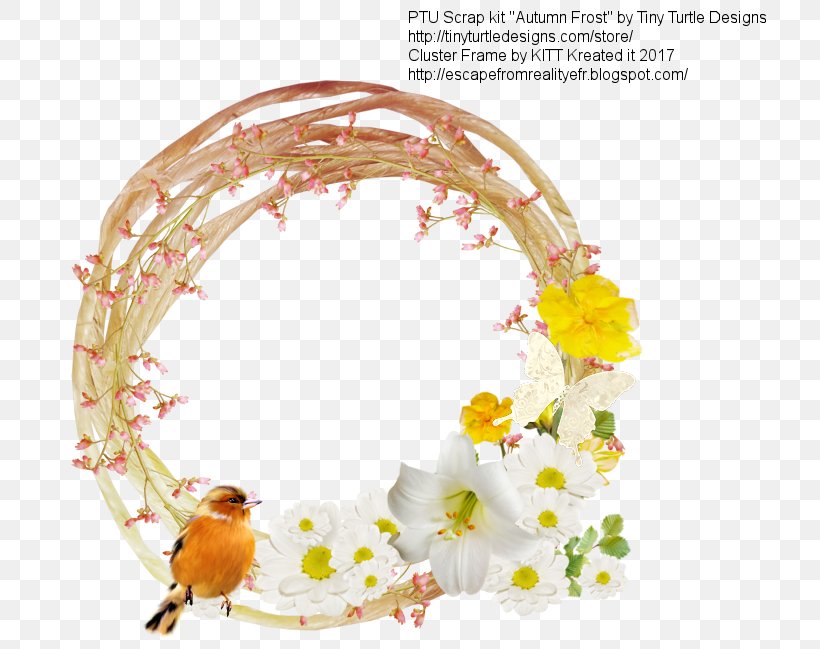 Floral Design Turtle Blog Reality, PNG, 725x649px, Floral Design, Blog, Flower, Reality, Reality Television Download Free