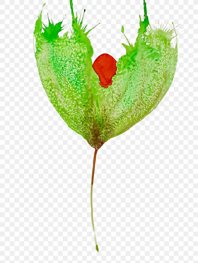Leaf Plant Stem Petal Heart, PNG, 1918x2550px, Leaf, Grass, Heart, Petal, Plant Download Free