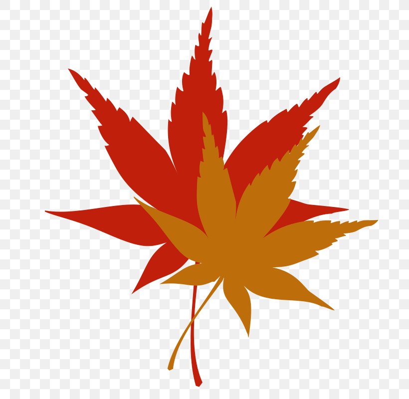 Maple Leaf Autumn Leaf Color Clip Art, PNG, 698x800px, Maple Leaf, Autumn, Autumn Leaf Color, Color, Flower Download Free