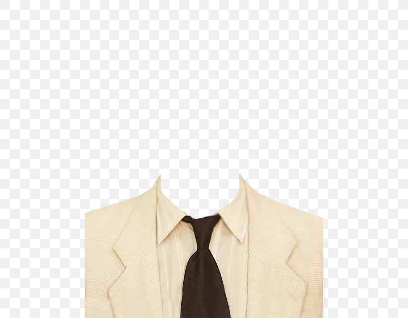 Suit Shirt Information Costume Outerwear, PNG, 480x640px, Suit, Beige, Clothing, Collar, Costume Download Free