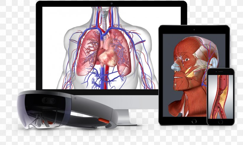 BioDigital Human Anatomy Nervous System Human Body, PNG, 1000x600px, Watercolor, Cartoon, Flower, Frame, Heart Download Free